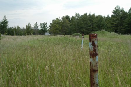 Thunder Bay Drive-In Theatre - Speaker Poles